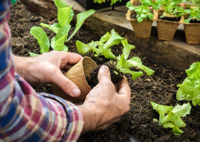 Working Through Recovery in Your Garden