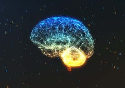 5 Ways to Heal Your Brain